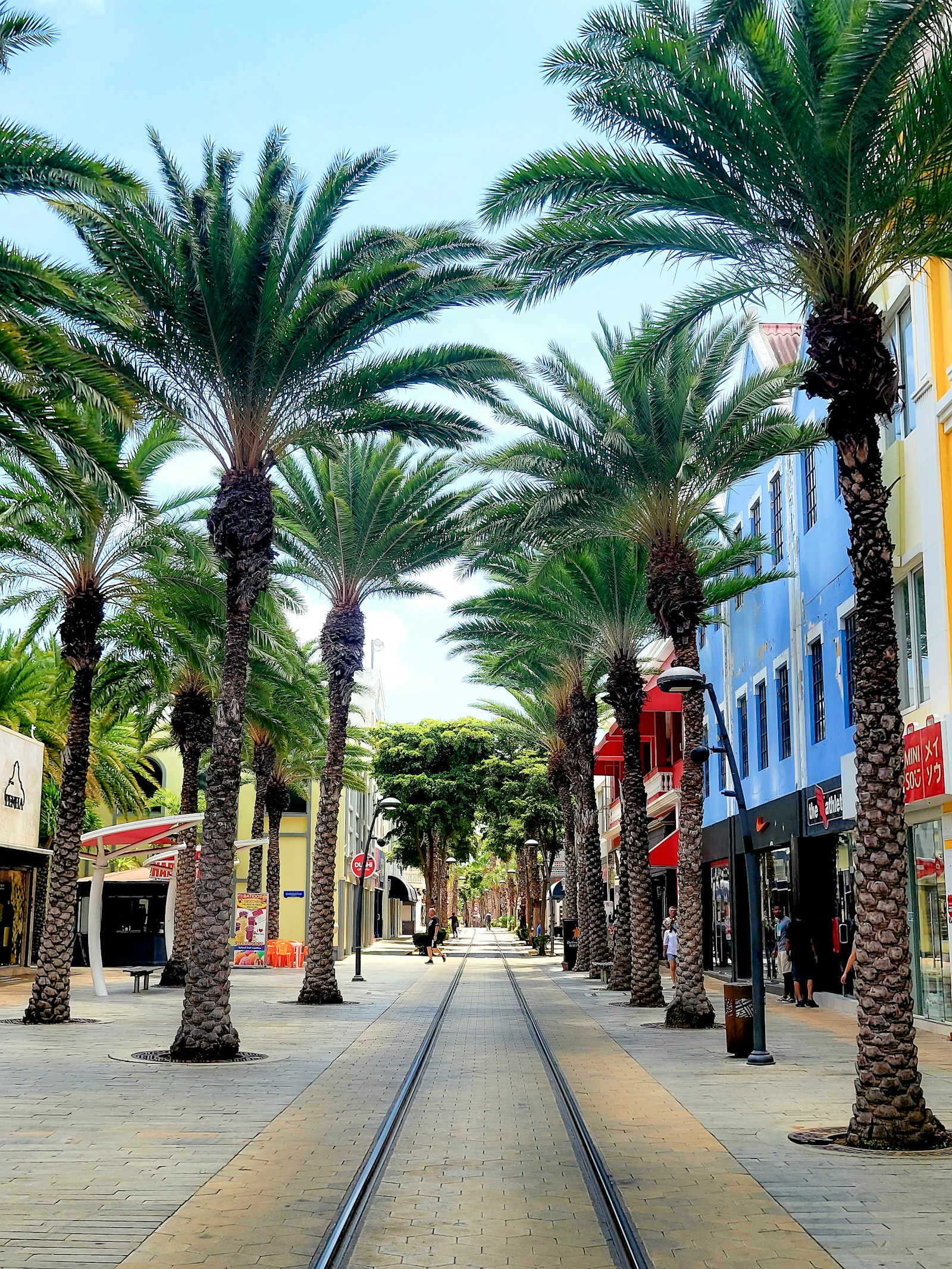 The palm-lined tram street of Oranjestad with colourful Dutch-colonial buildings, Aruba