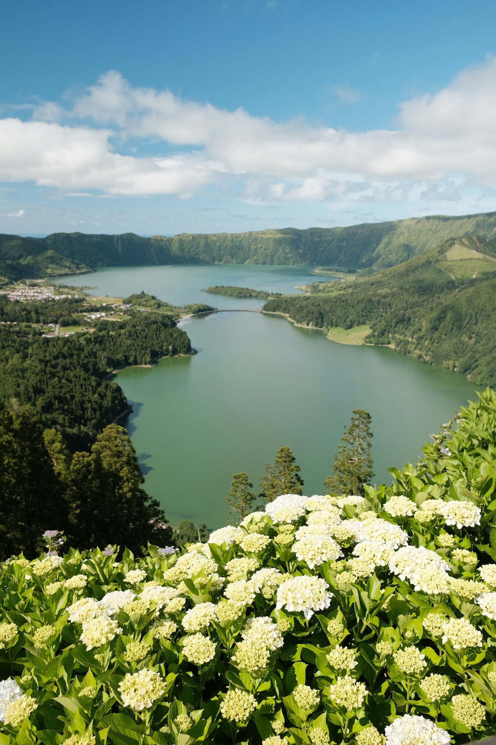 The Sete Cidades crater lake framed by hydrangeas, Sao Miguel, Azores