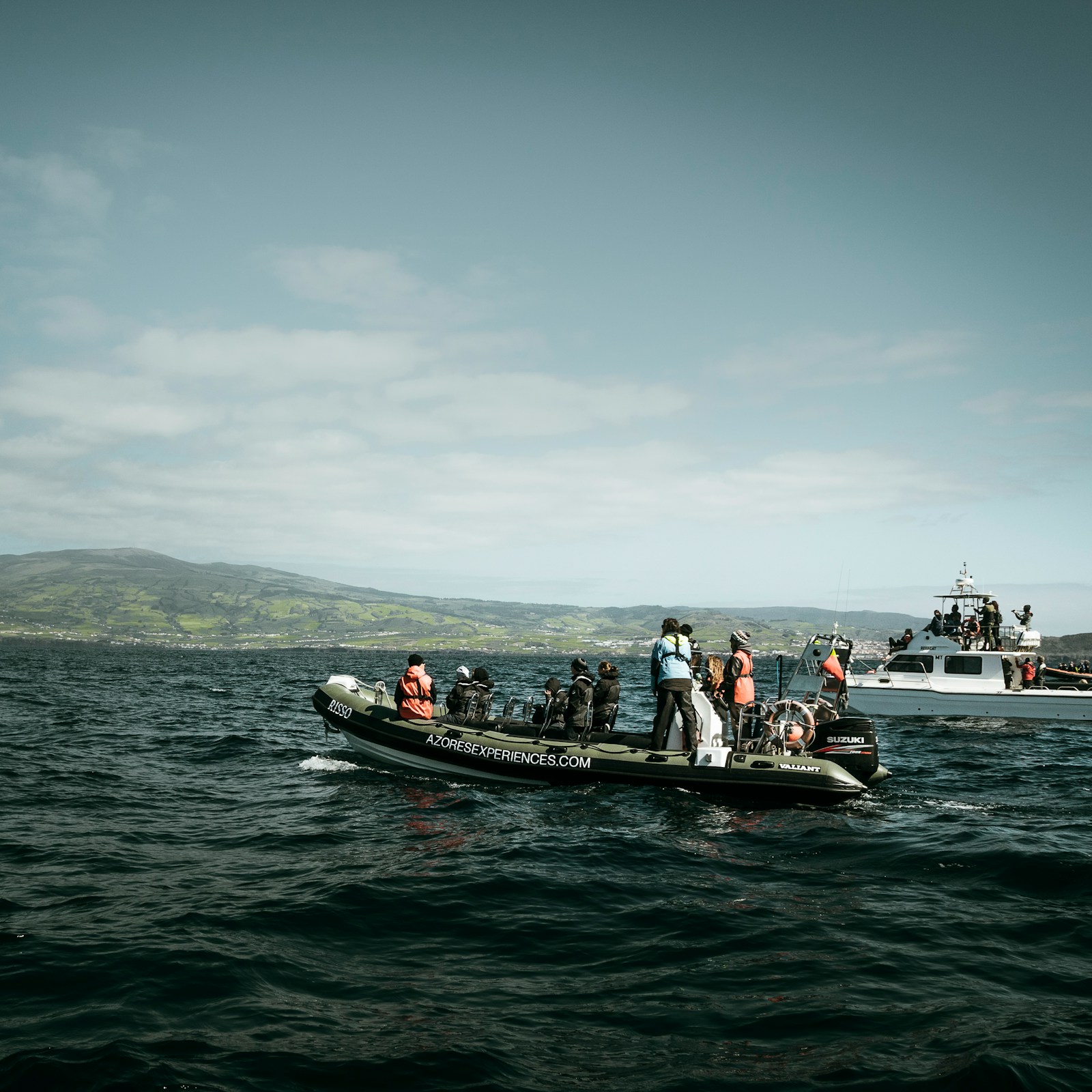 A whale-watching boat on the Atlantic off Faial, Azores