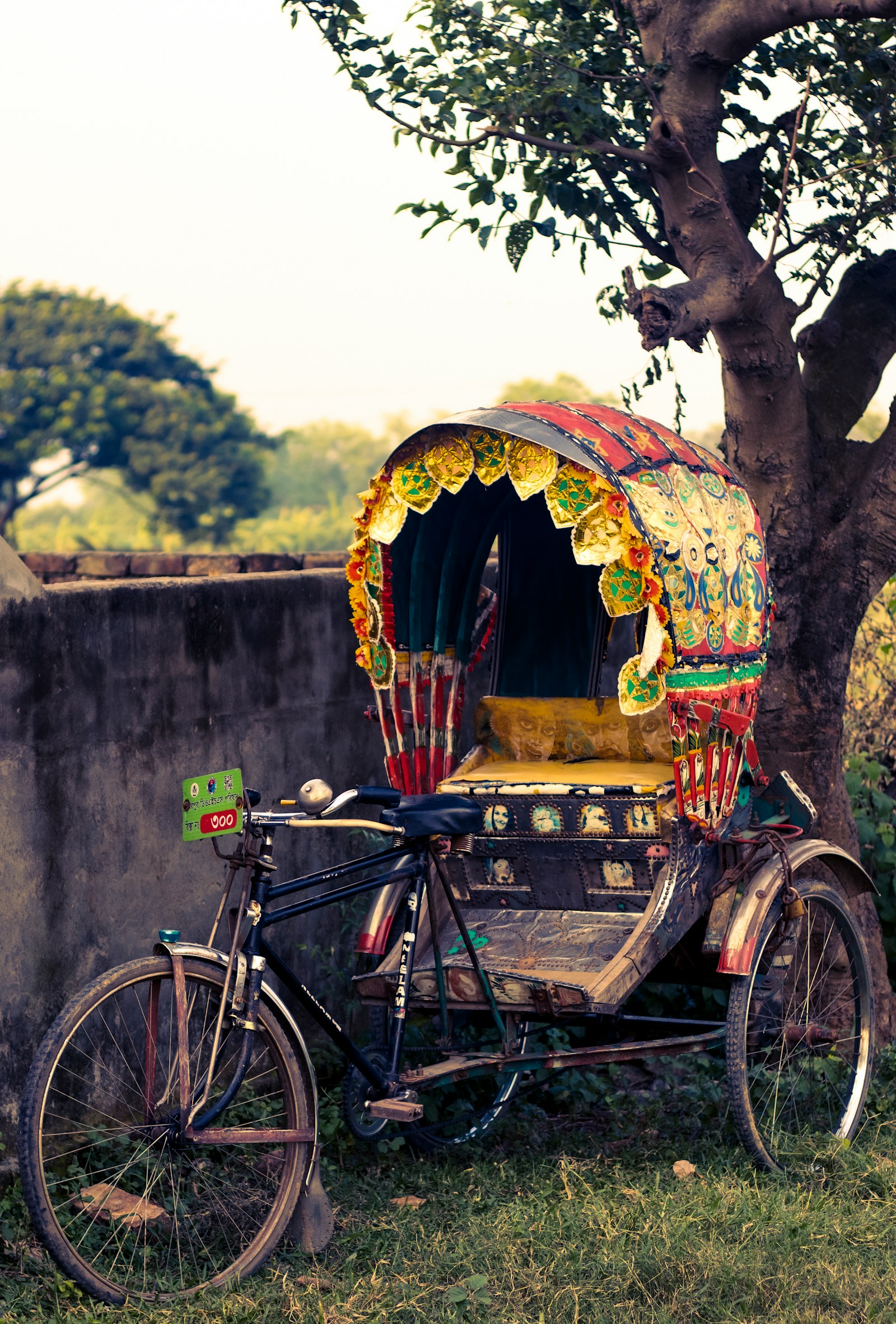 A brightly hand-painted cycle-rickshaw parked under a tree, showing Bangladesh's rickshaw art