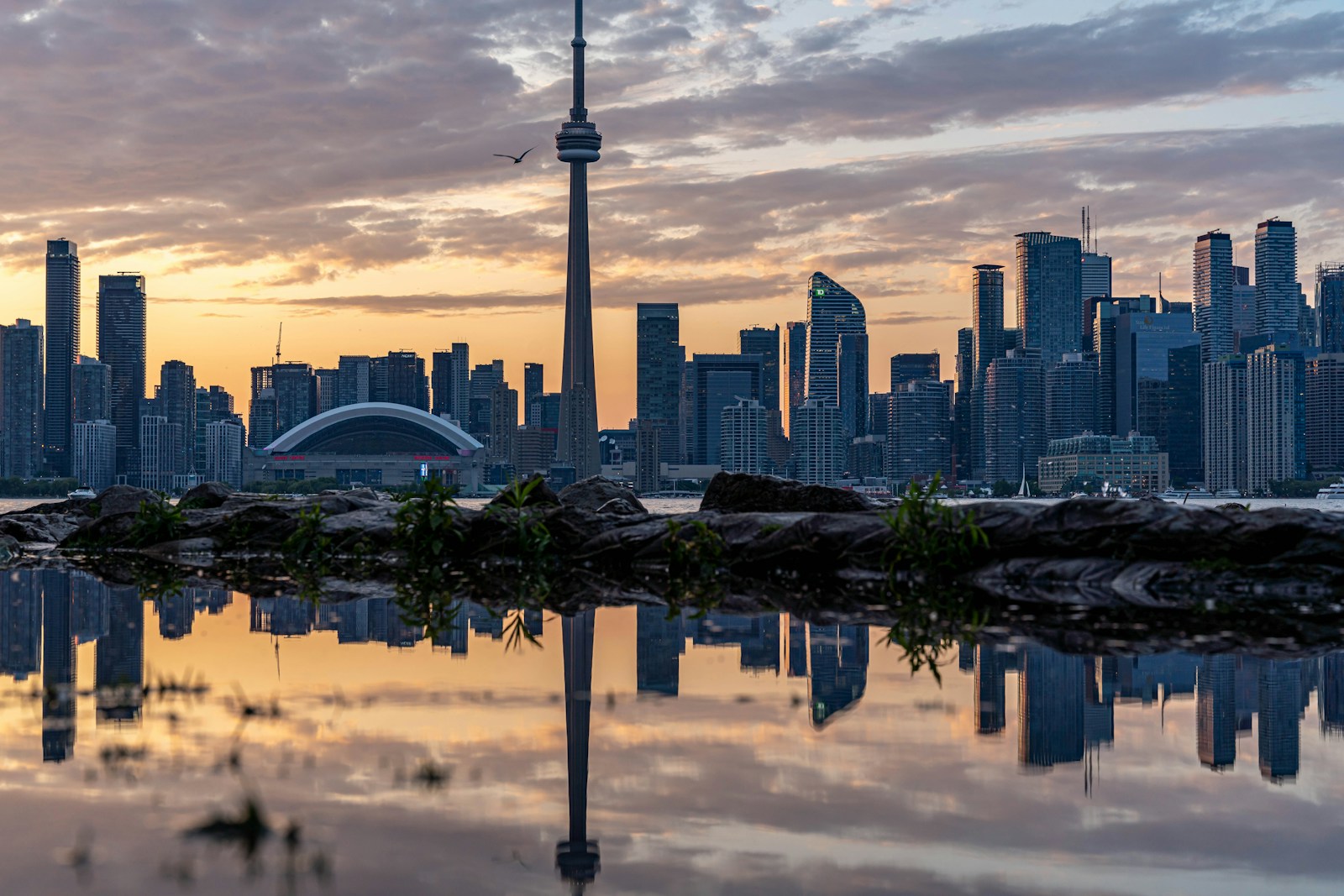 The Toronto skyline and CN Tower reflected in the water at sunset
