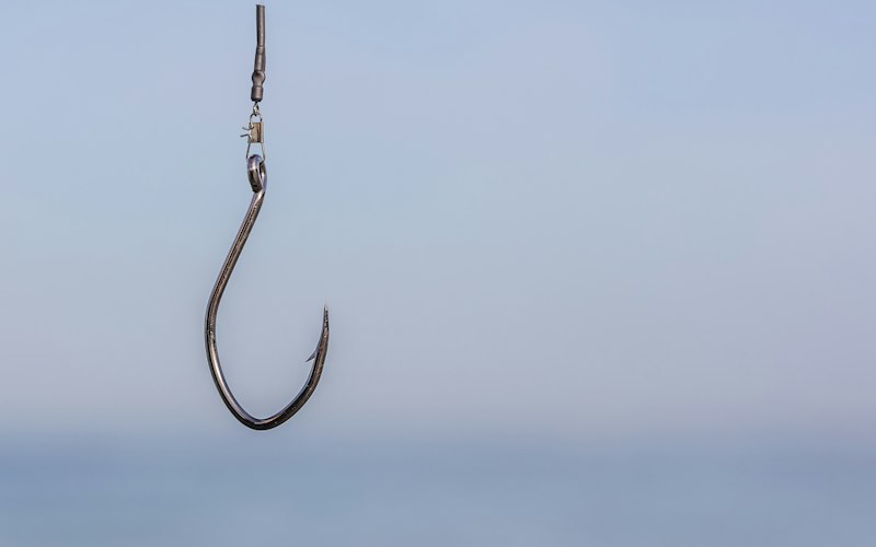 A single fishing hook hanging against a pale sky