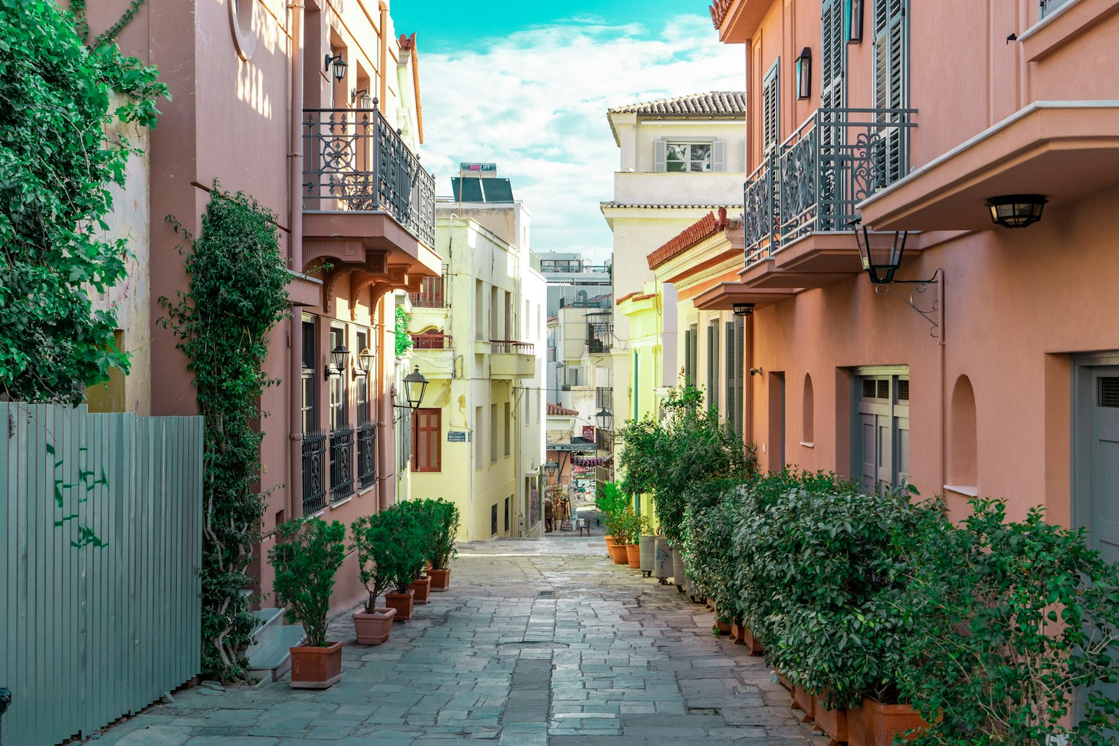 A plant-lined lane in Plaka, Athens