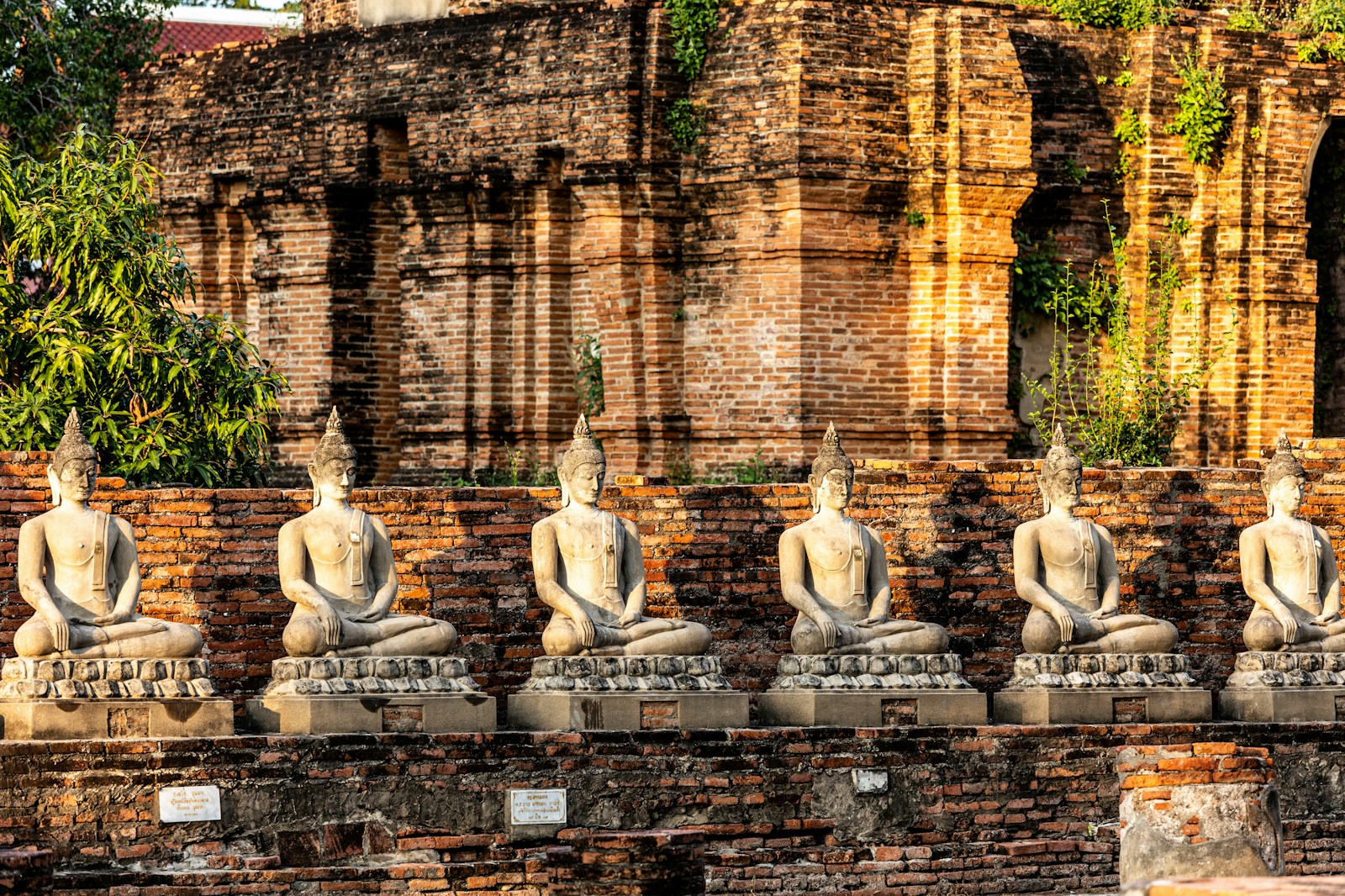 Rows of Buddha statues at Wat Yai Chai Mongkhon in the Ayutthaya historical park, Thailand