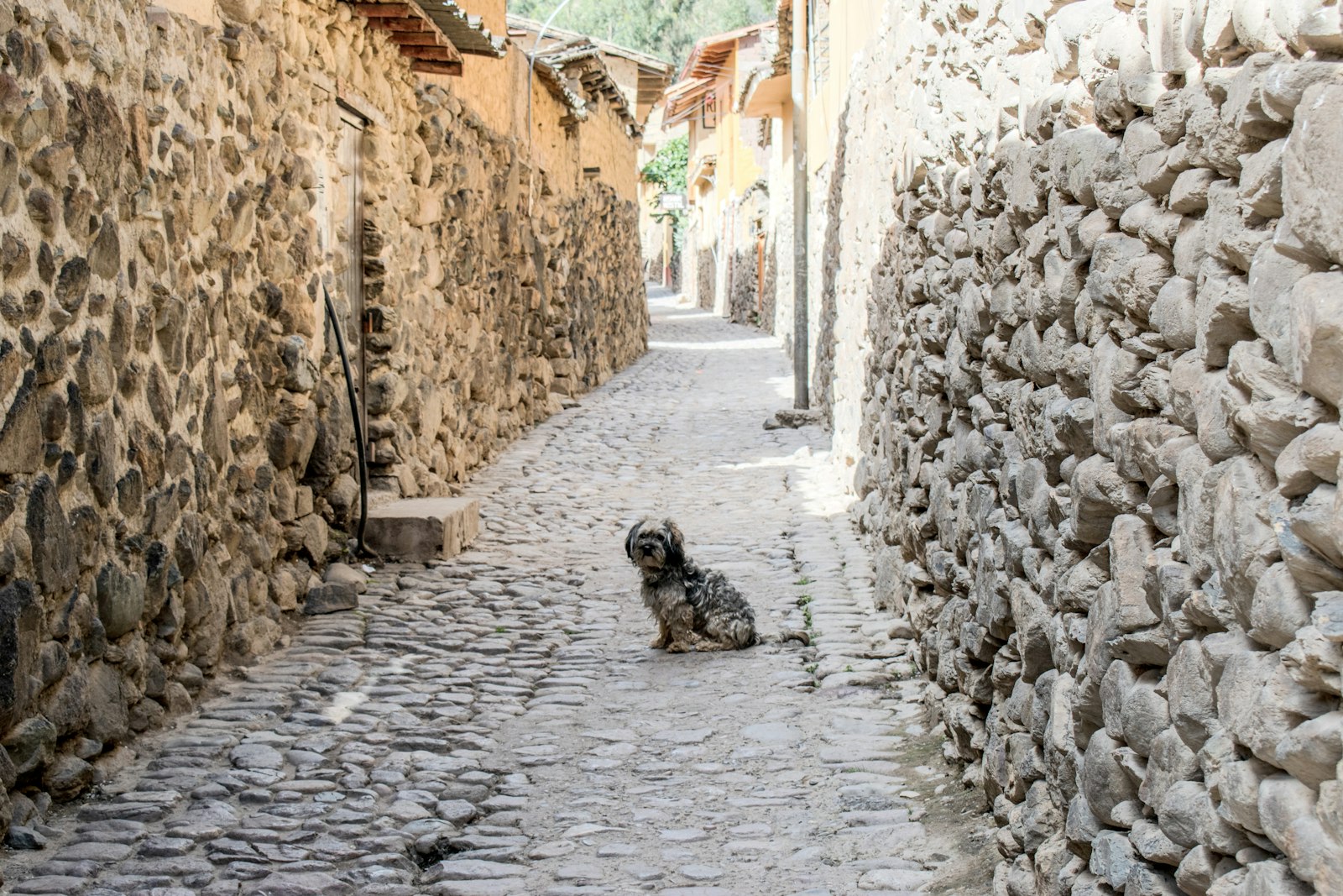 A cobbled Cusco street beside ancient Inca stone walls