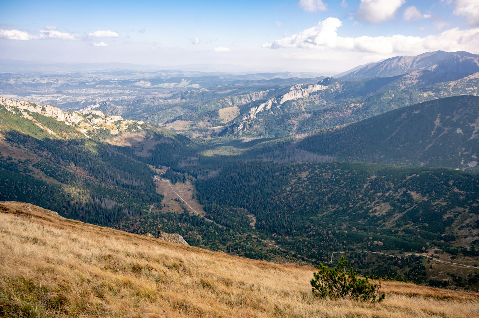 A valley in the Tatra Mountains near Zakopane, Poland