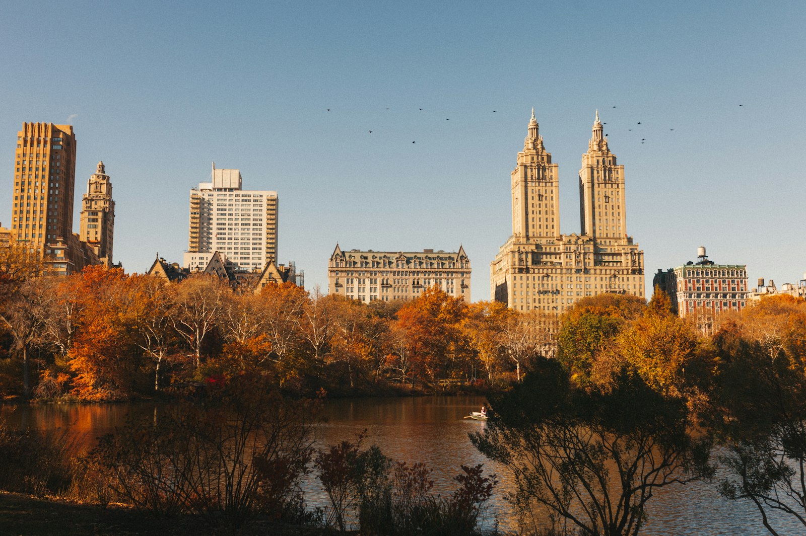 Central Park with the Manhattan skyline behind