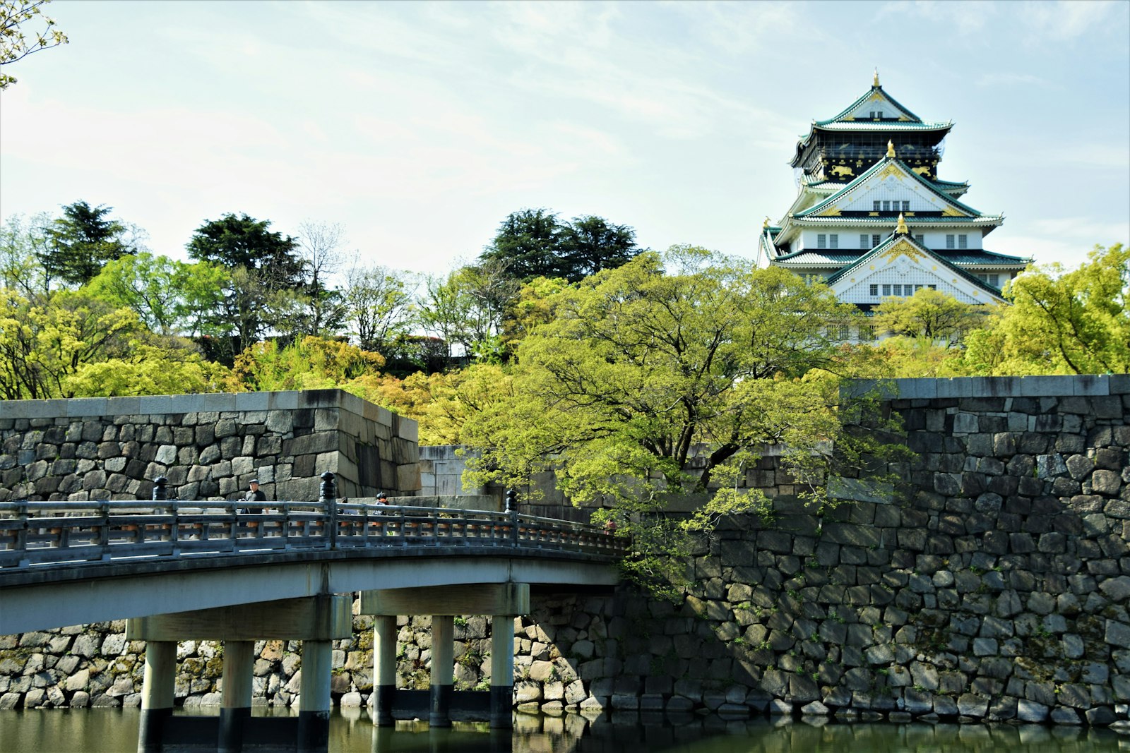 Osaka Castle among green trees