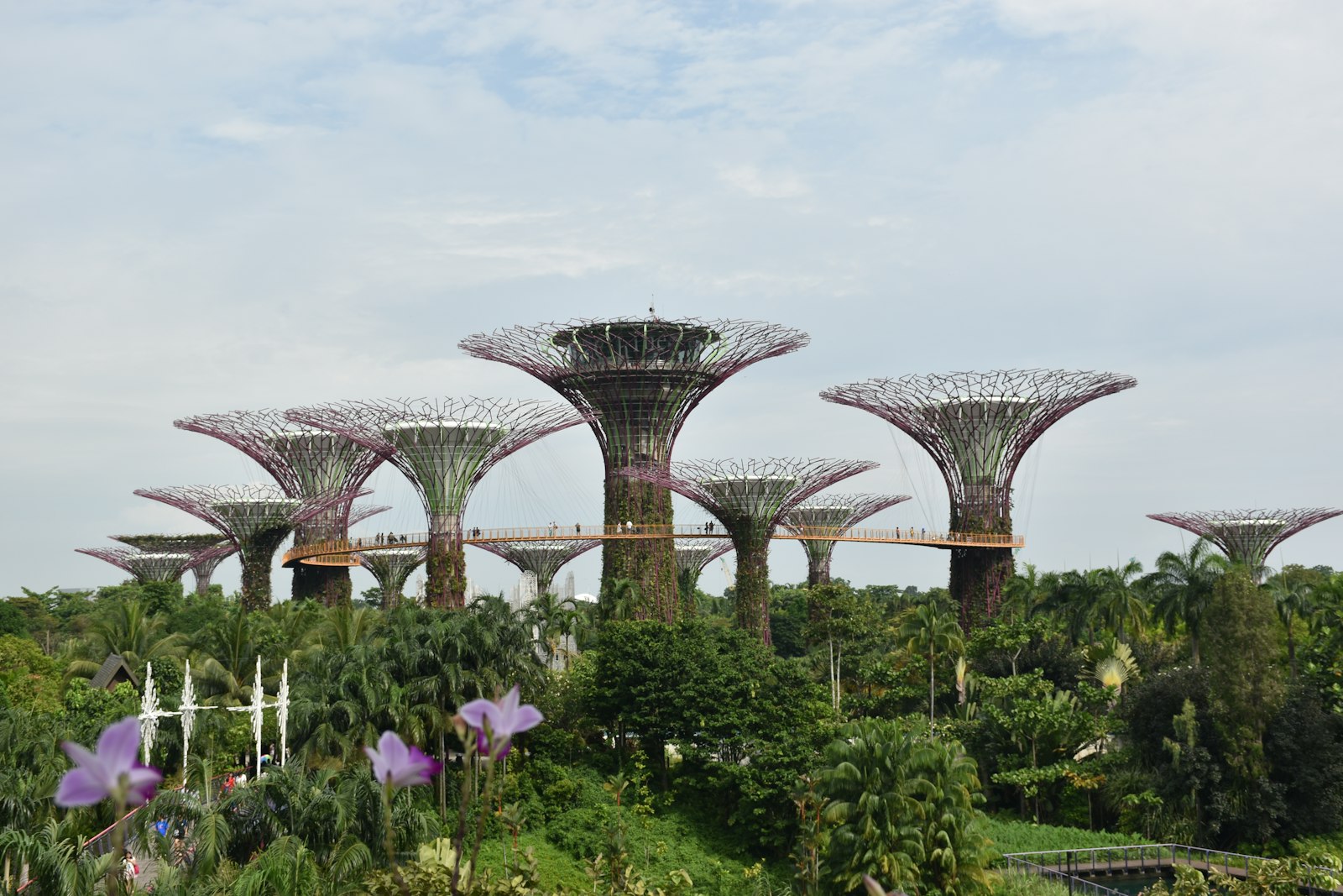 Gardens by the Bay in Singapore