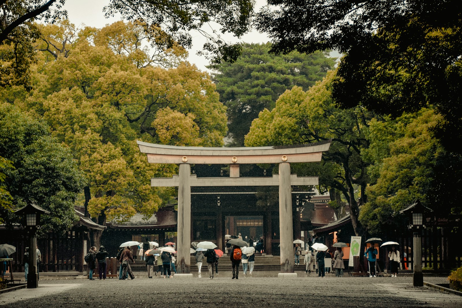 Torii gate at Meiji Jingu shrine