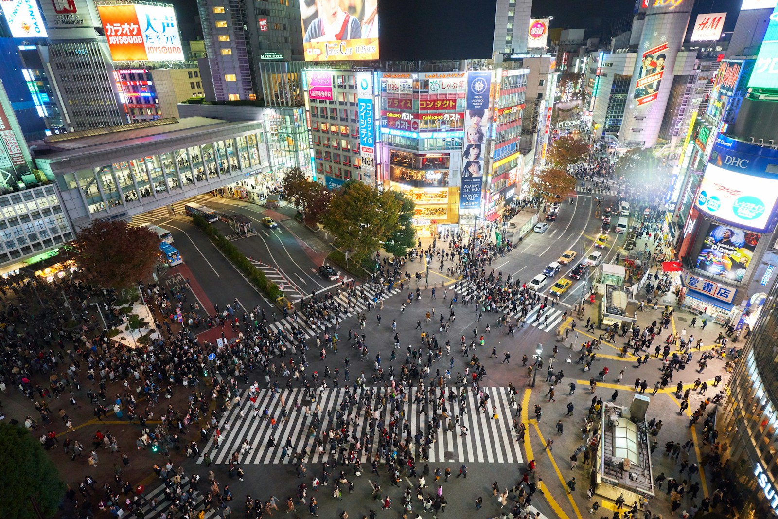 Crowds crossing the Shibuya scramble intersection at night in Tokyo