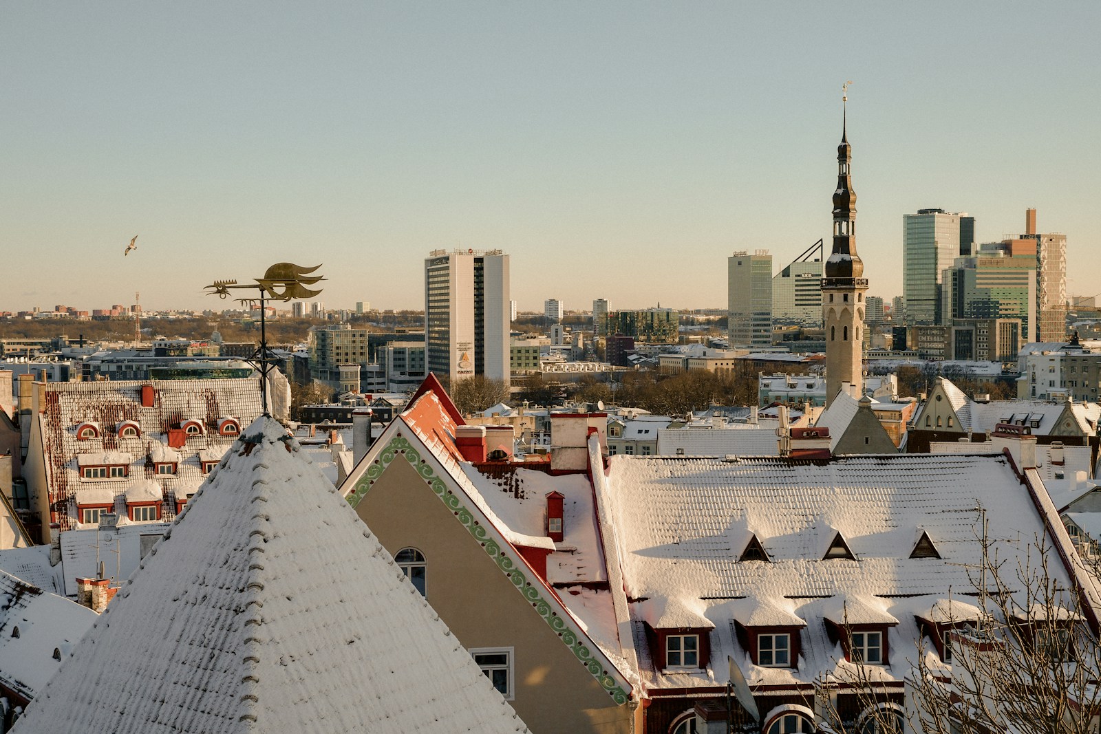Snow-dusted medieval rooftops of Tallinn with the modern glass towers of the business district behind