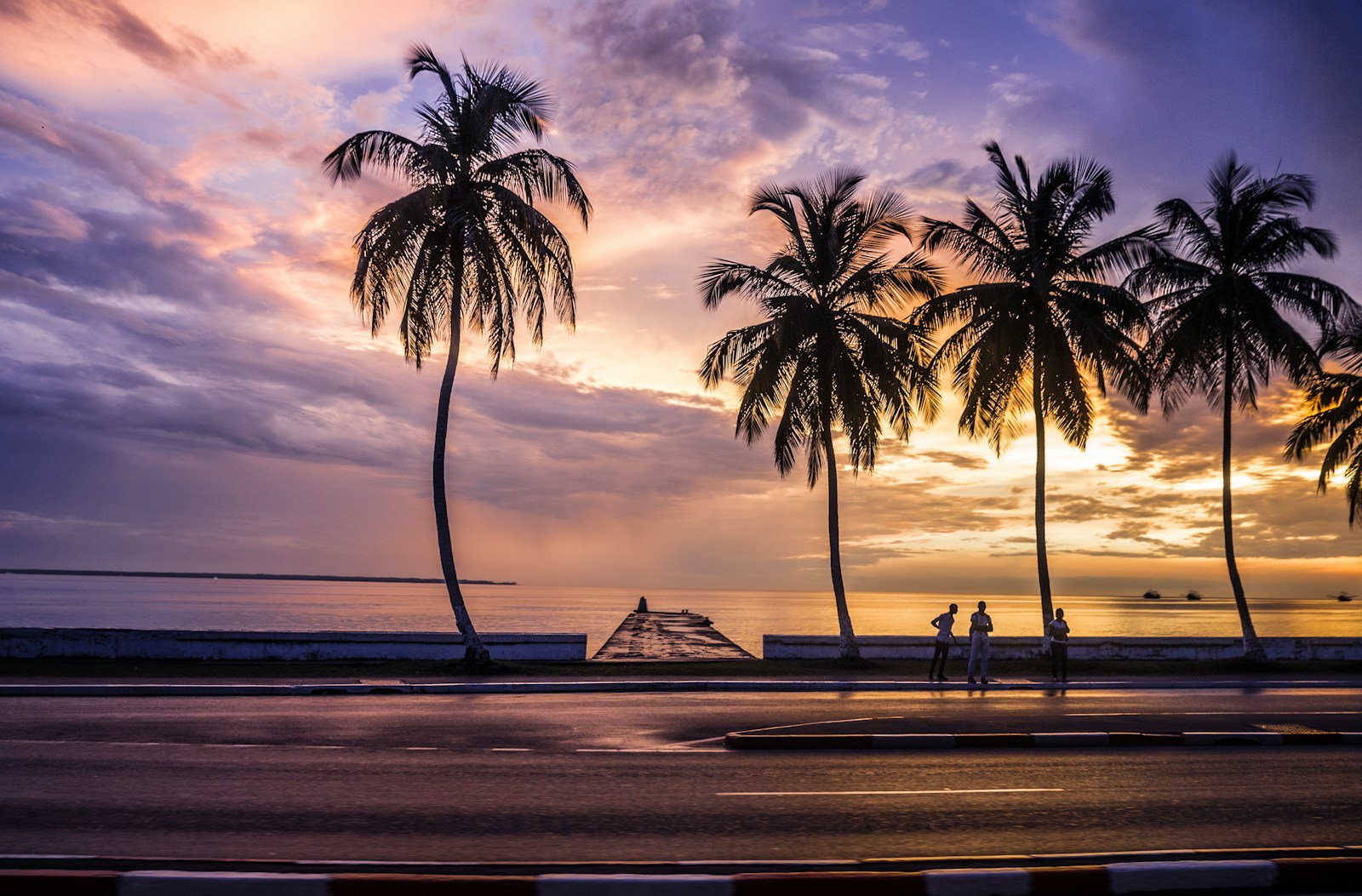 Palm silhouettes at sunset on the seafront of Libreville, Gabon