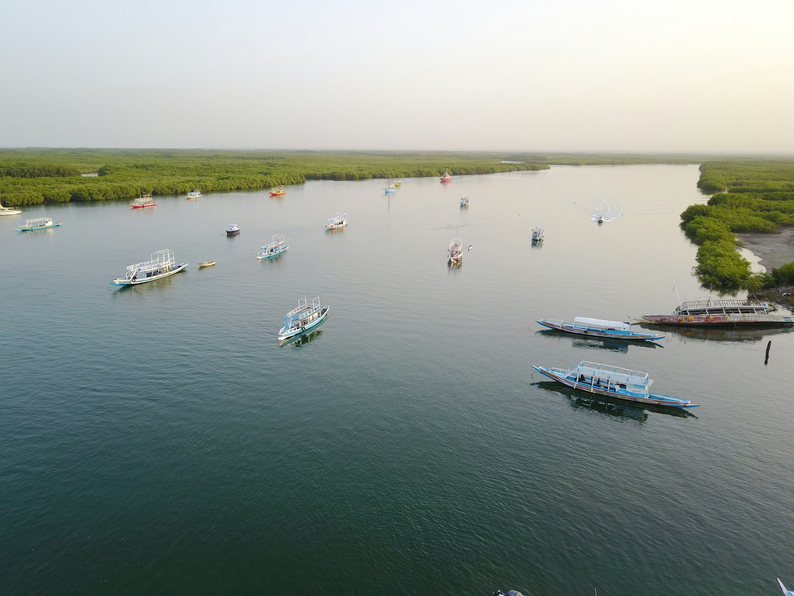 Colourful pirogues and mangroves on the River Gambia