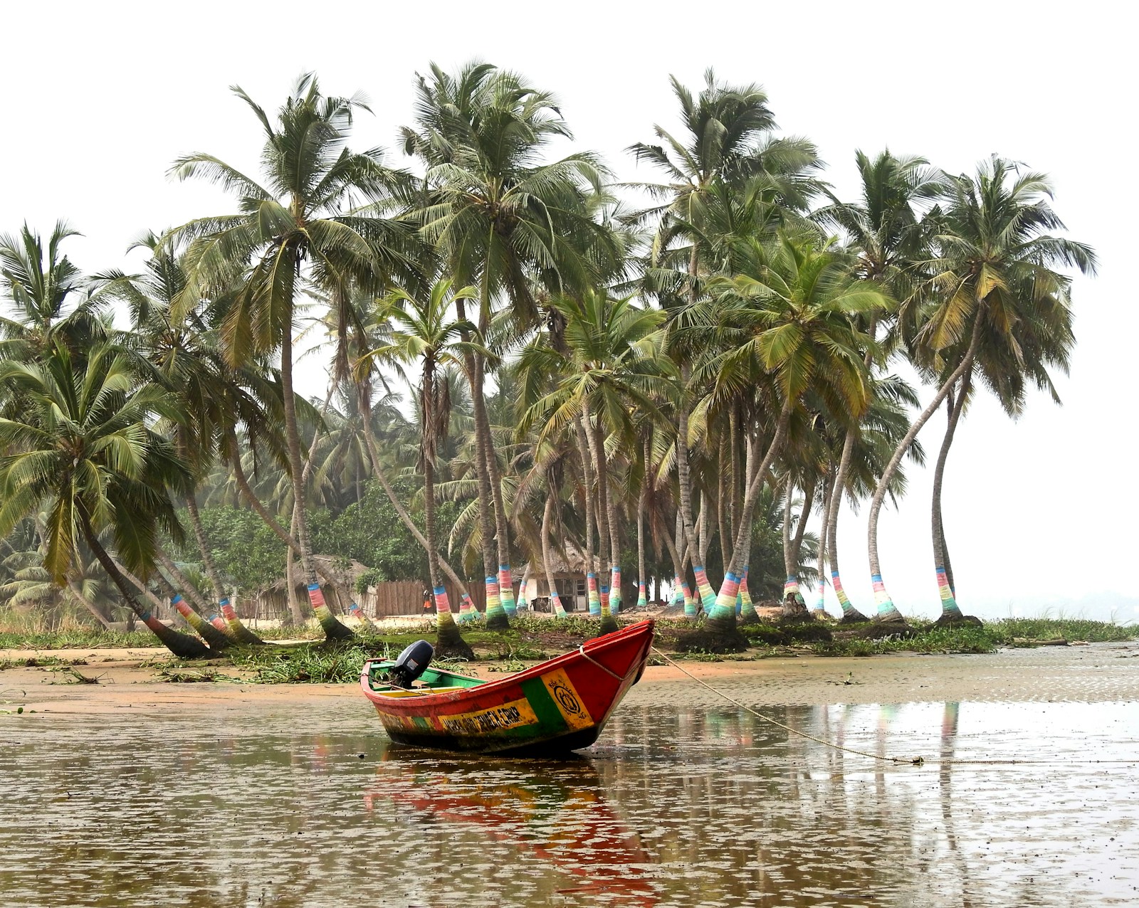 A brightly painted fishing boat on a palm-lined lagoon on the Ghanaian coast