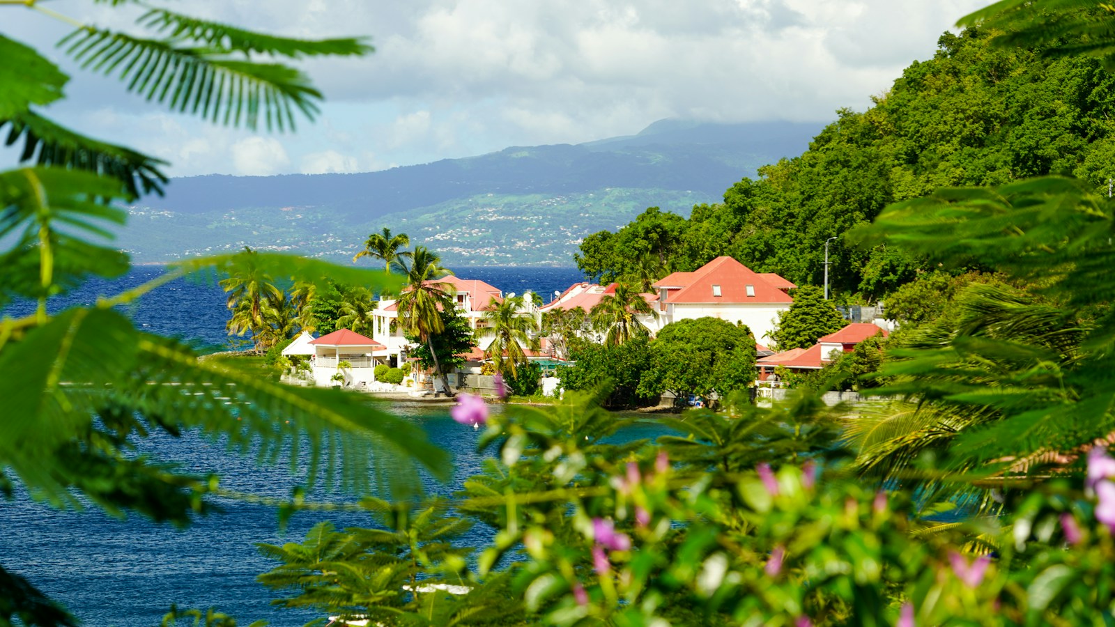 A red-roofed Creole village on the water below green mountains, Guadeloupe