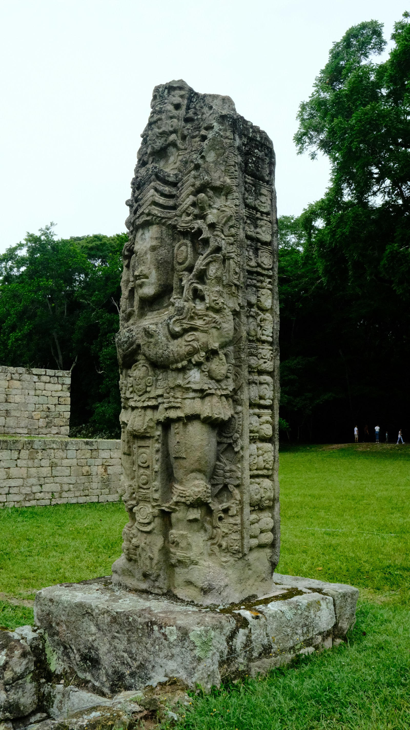A tall carved Maya stela standing on green grass at the Copan ruins, Honduras