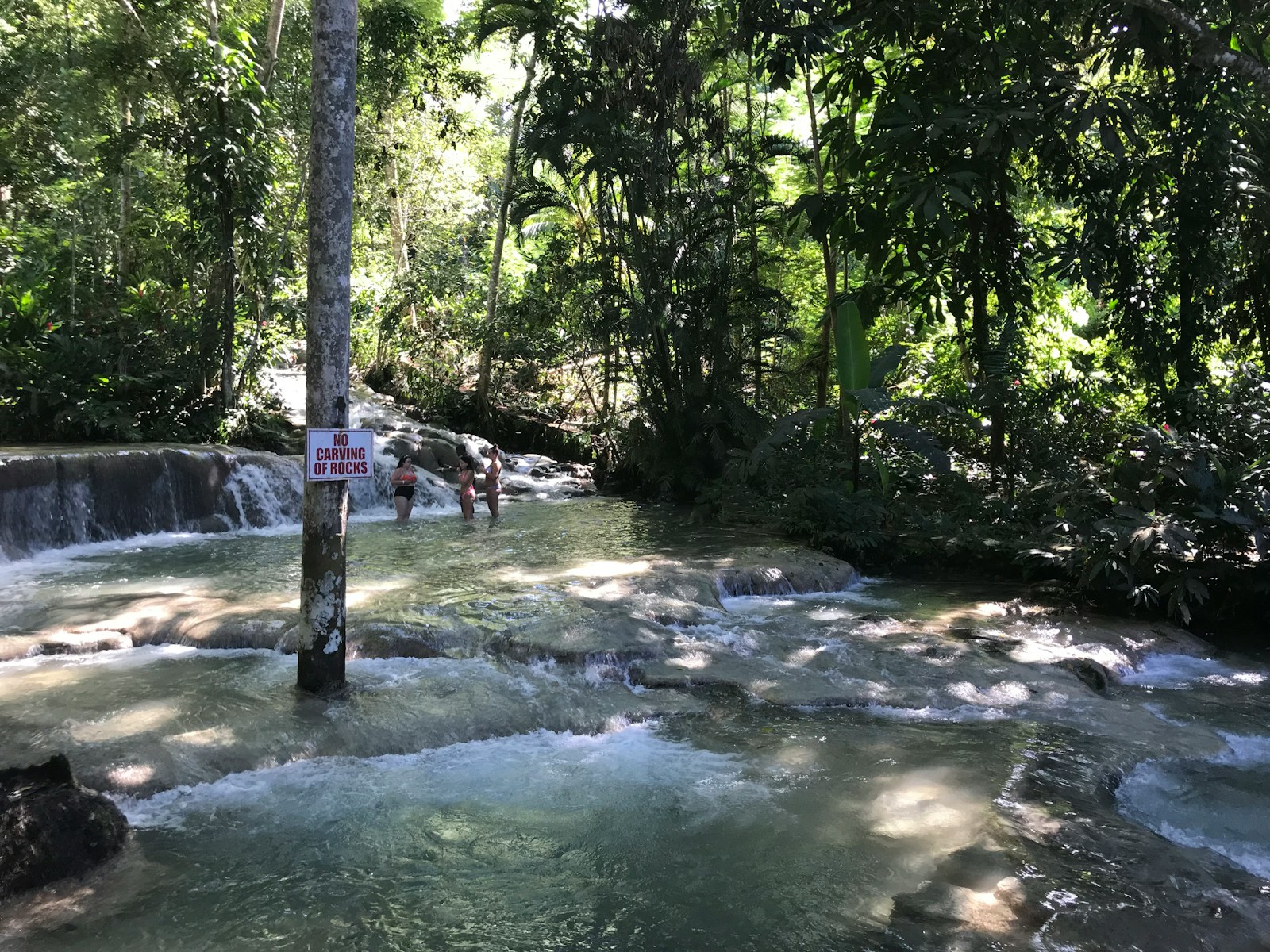 Visitors wading up a tropical river cascade through the jungle in Jamaica