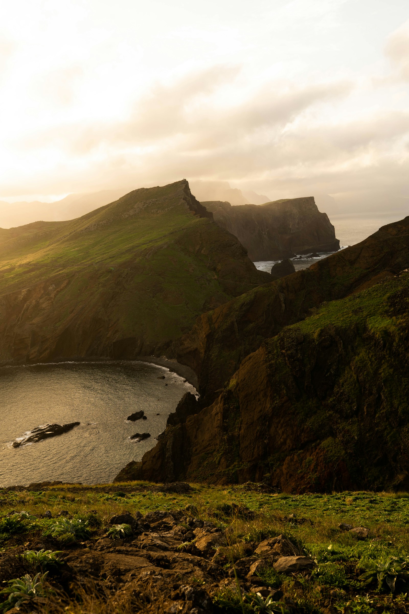 Dramatic green sea cliffs and a cove in golden light, Madeira