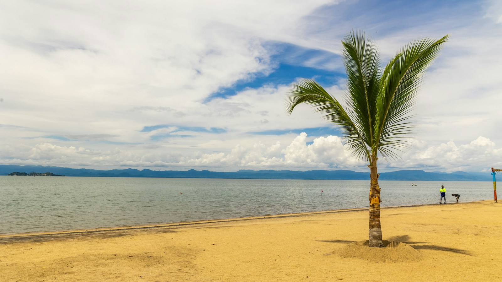 A lone palm on the golden sand beach of Lake Malawi at Mangochi