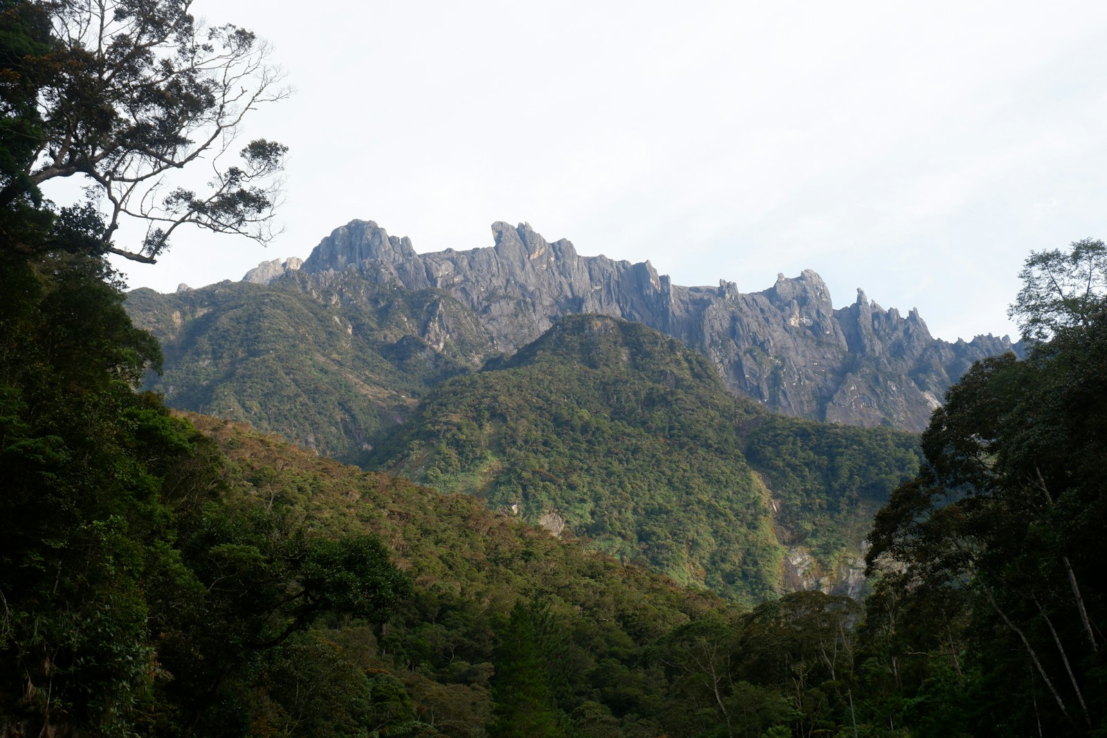 The jagged granite peaks of Mount Kinabalu rising above dense Bornean rainforest in Sabah