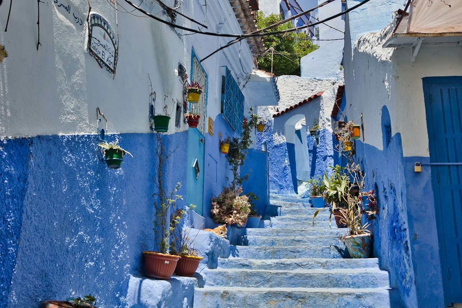 A blue-washed stepped alley with potted plants in Chefchaouen