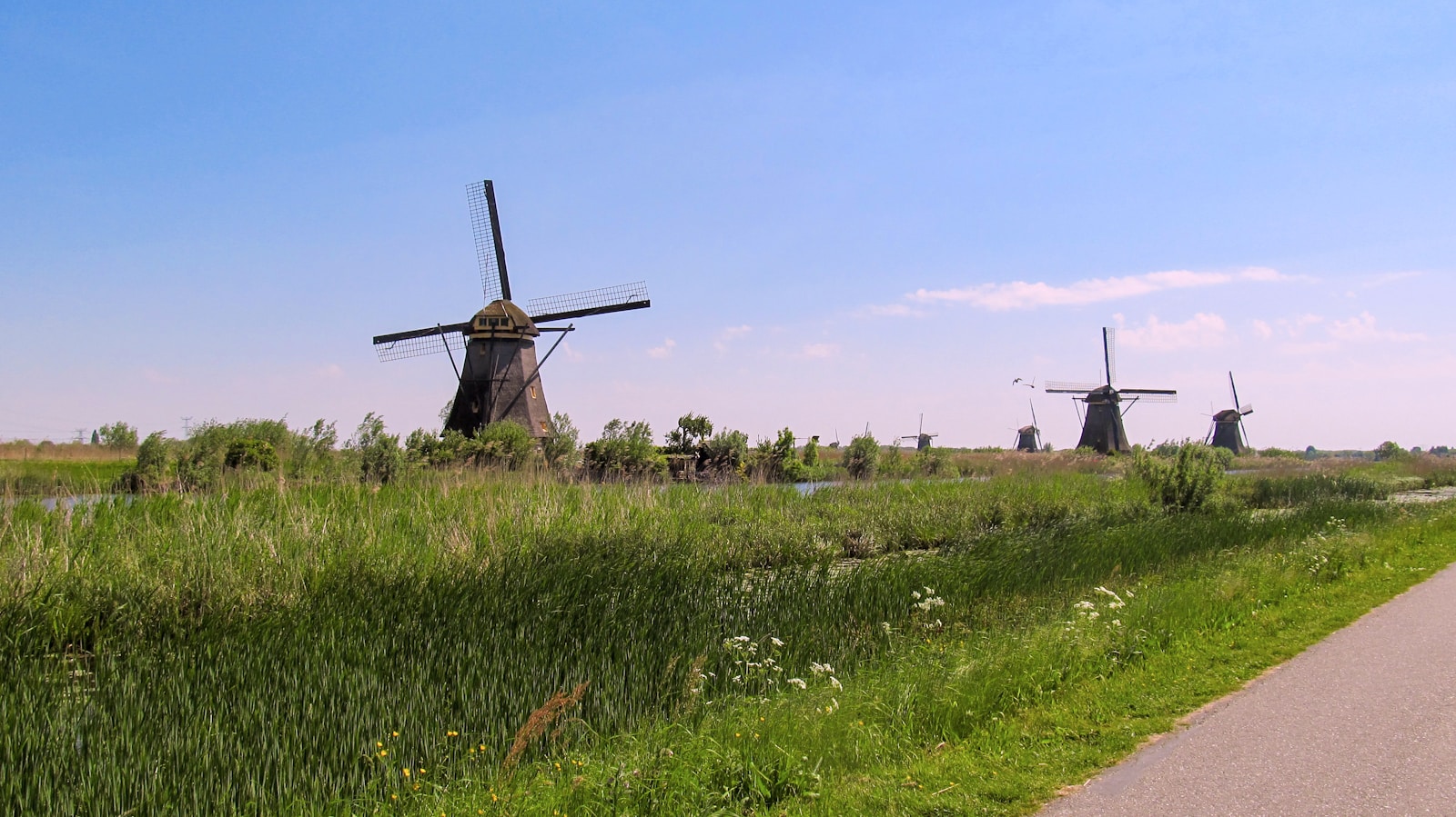 The row of historic windmills along the polder canals at Kinderdijk
