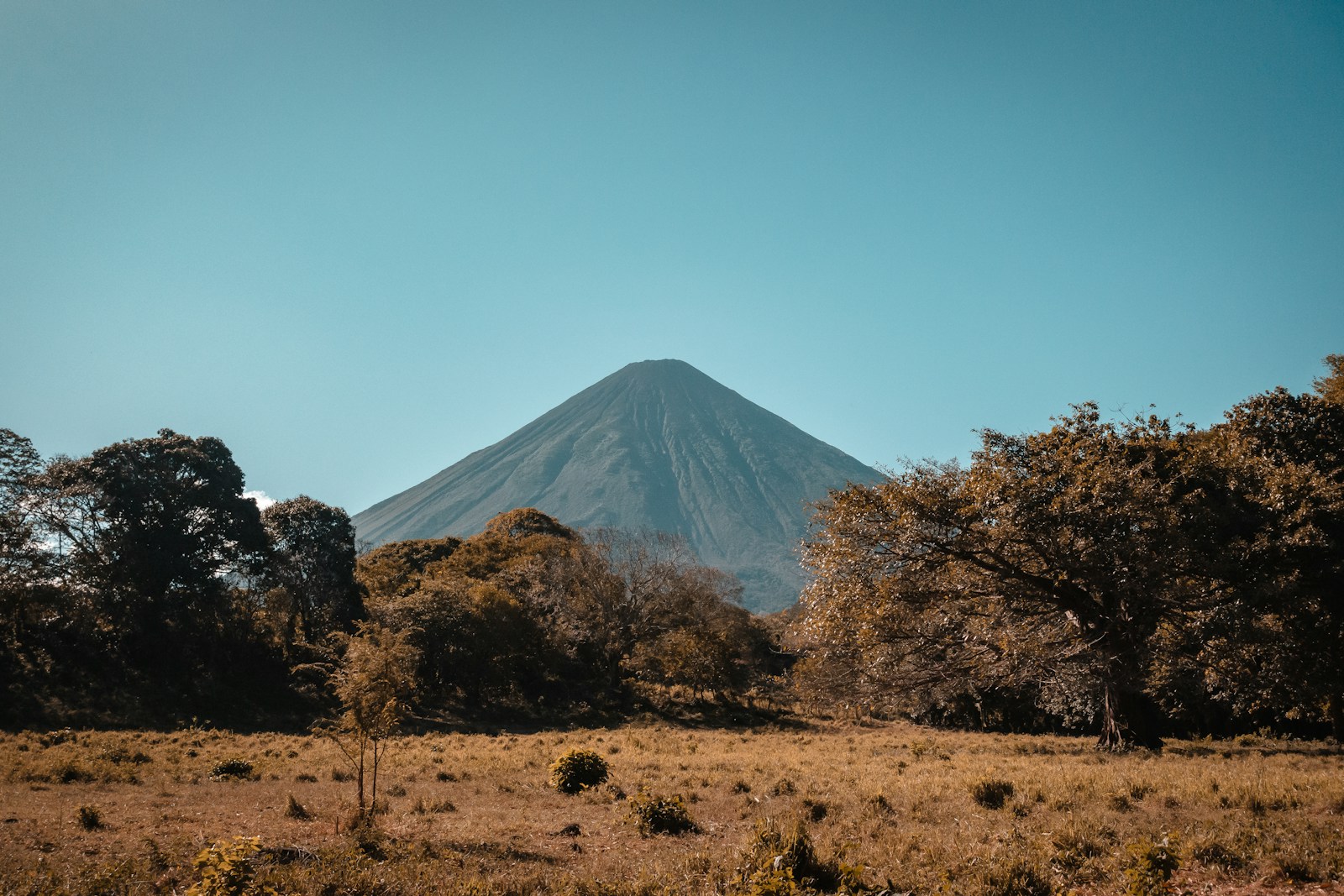 The perfect cone of Concepcion volcano rising above dry savanna and trees on Ometepe island, Nicaragua