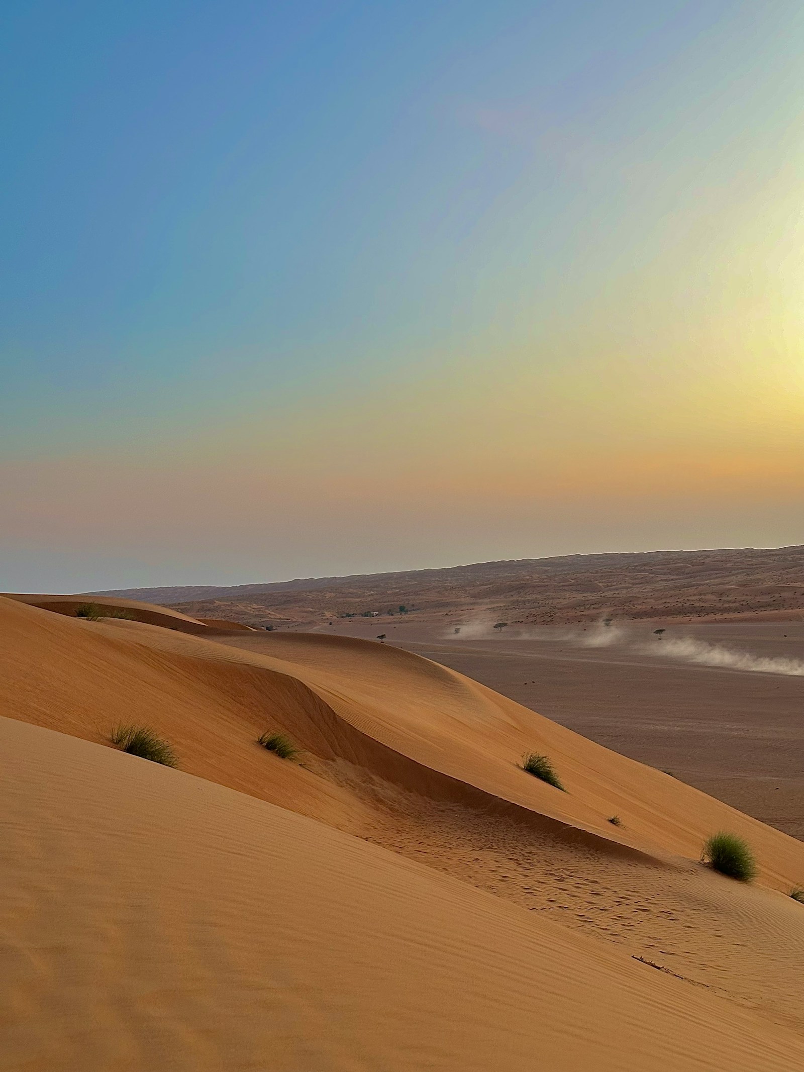 Orange sand dunes of the Wahiba Sands at sunset in Oman