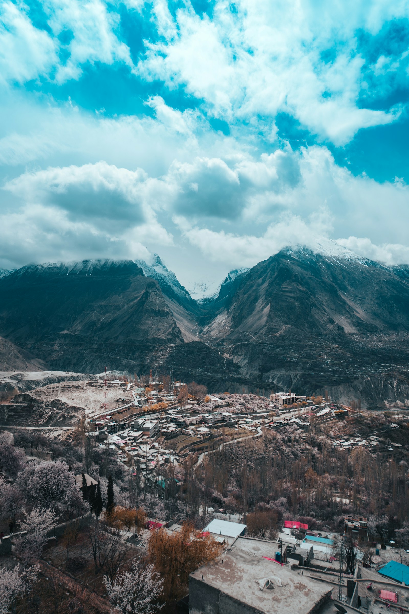 The Hunza Valley town of Karimabad below snow-capped Karakoram peaks with spring blossom, Pakistan