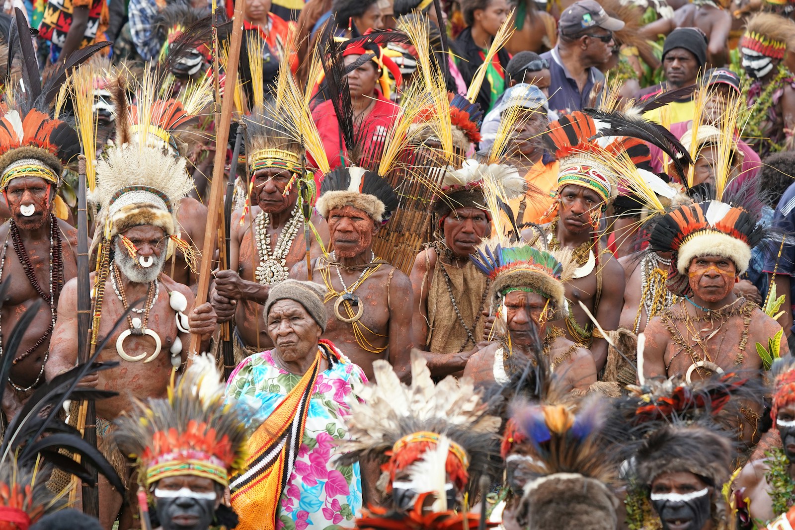 A crowd of performers in feathered headdresses at a Sing Sing, Papua New Guinea