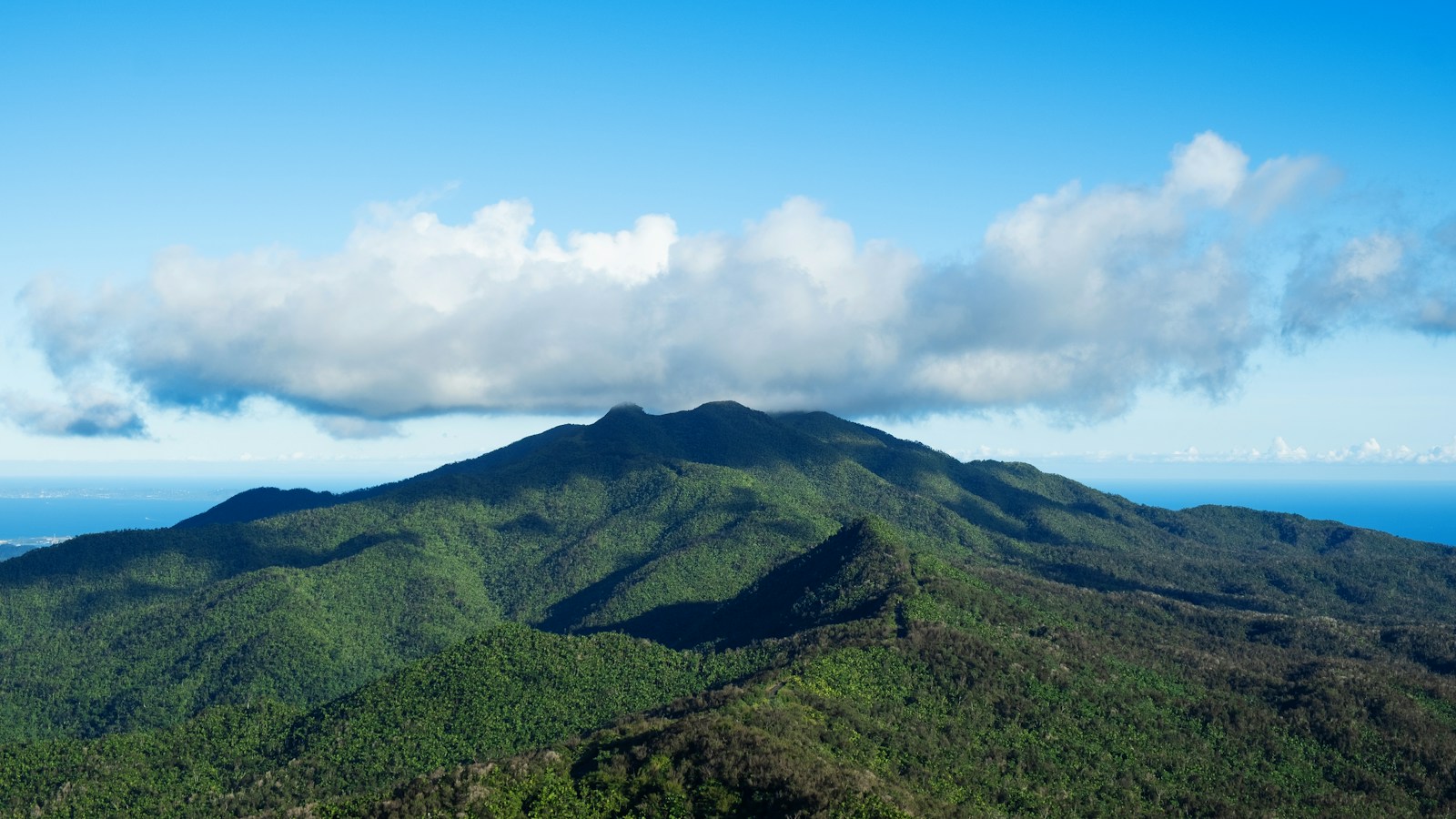 The green peaks of the El Yunque rainforest, Puerto Rico