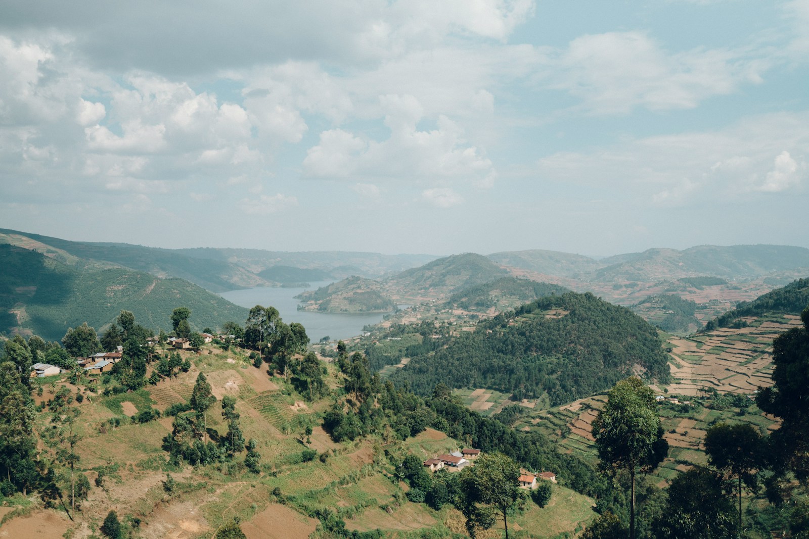 Terraced green hills and homesteads rolling down to a lake in Rwanda's thousand-hills landscape