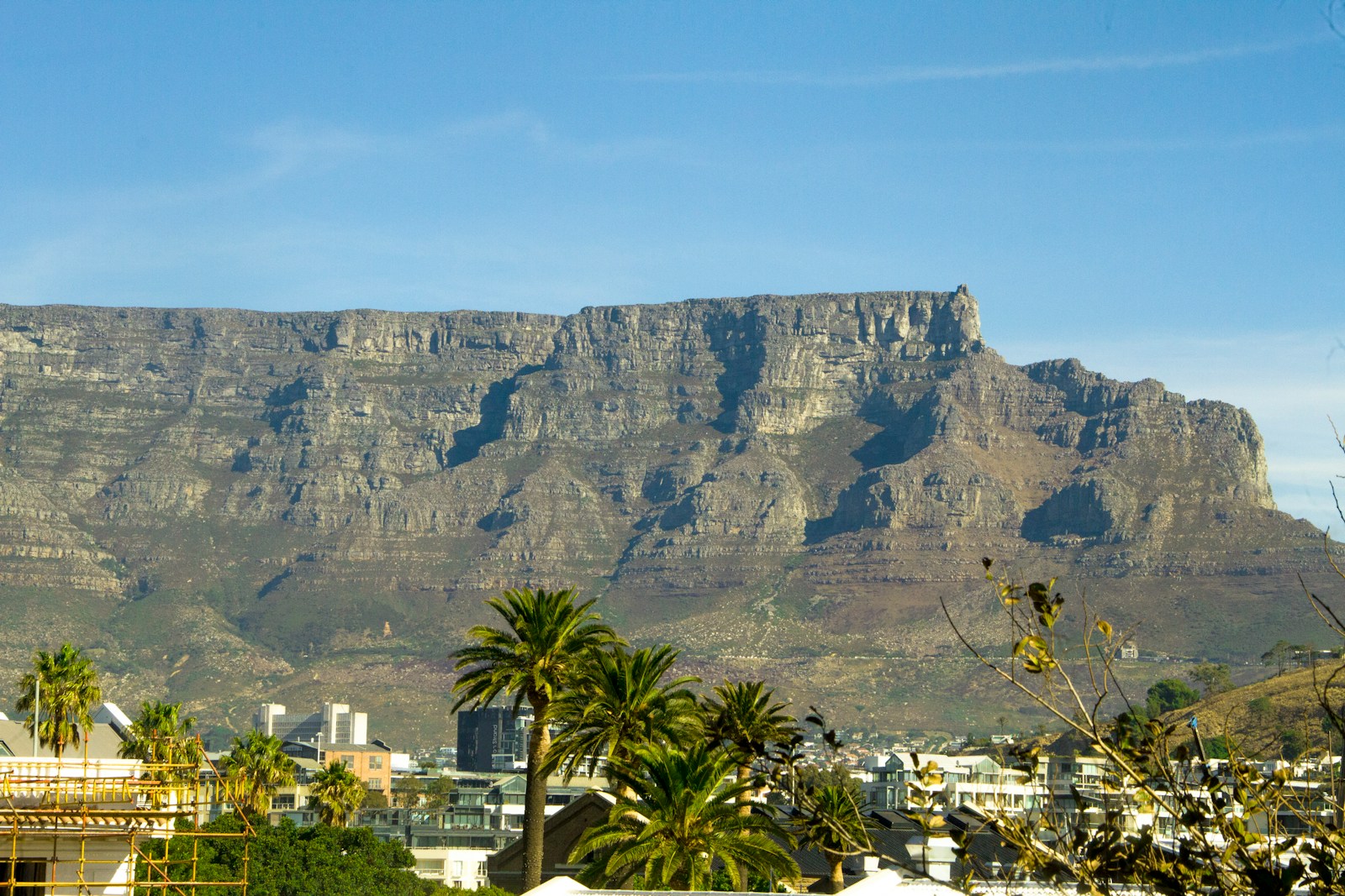 Table Mountain looming over the city of Cape Town