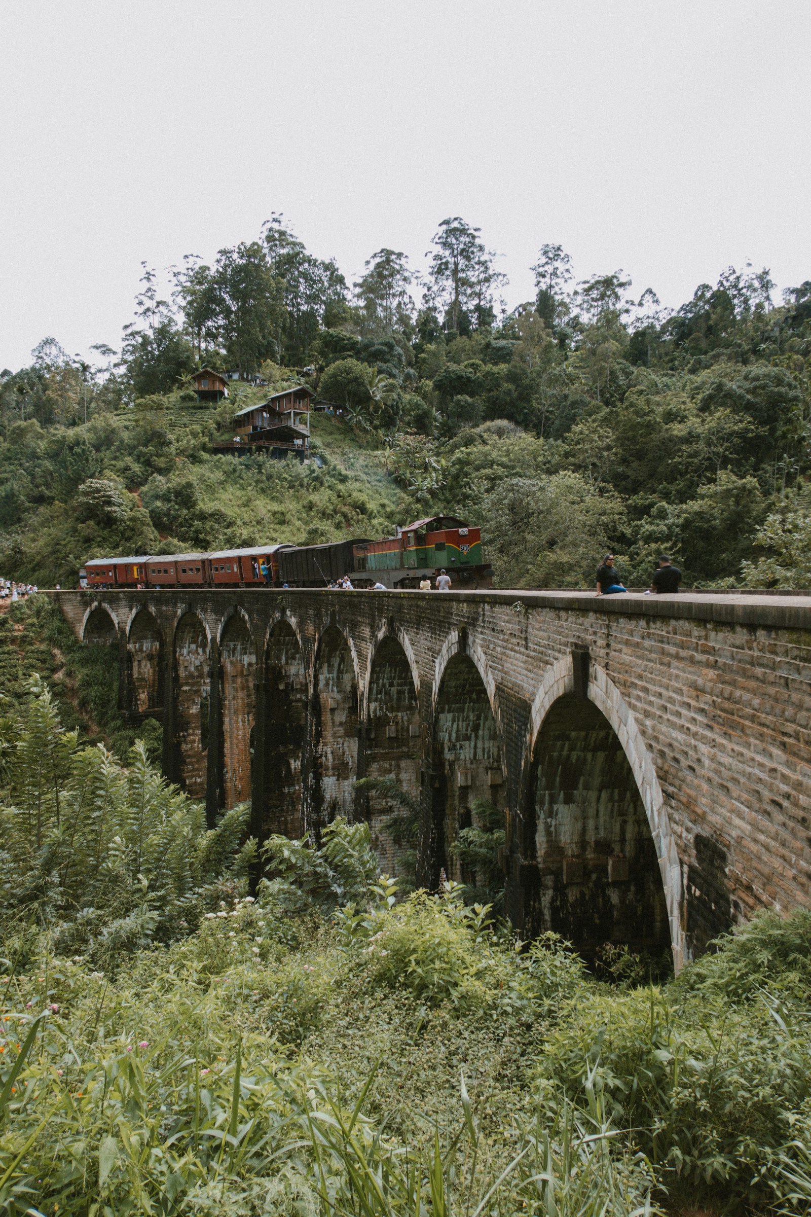 A train crossing the Nine Arch Bridge through the tea country near Ella