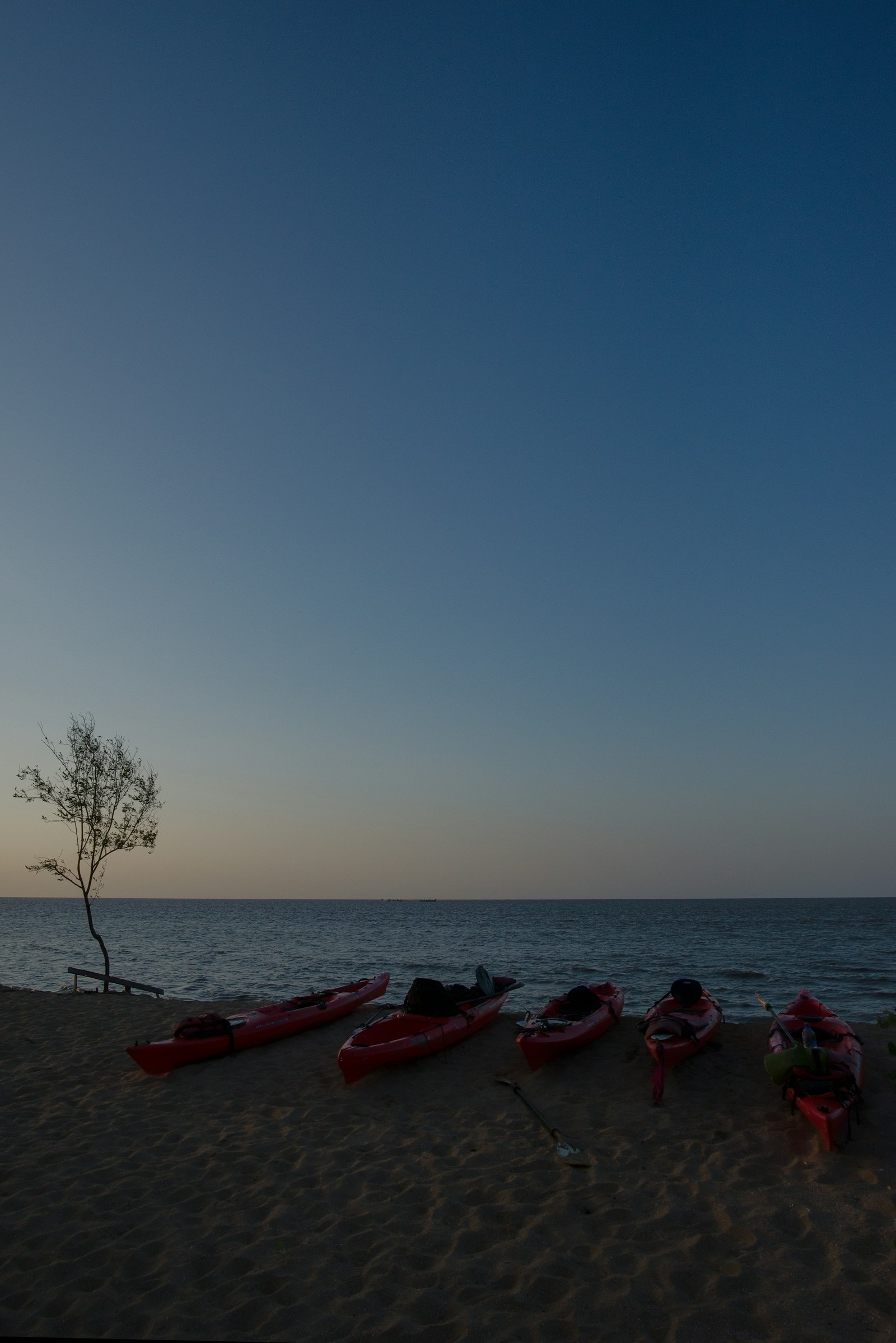 Kayaks drawn up on the shore at dusk on the Suriname coast