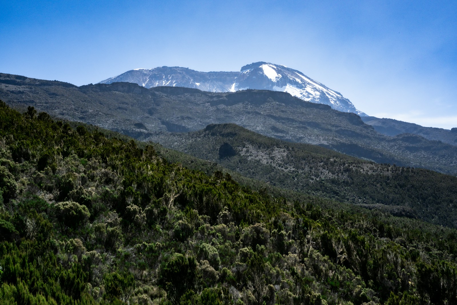 The snow-capped summit of Mount Kilimanjaro rising above its green slopes in Tanzania