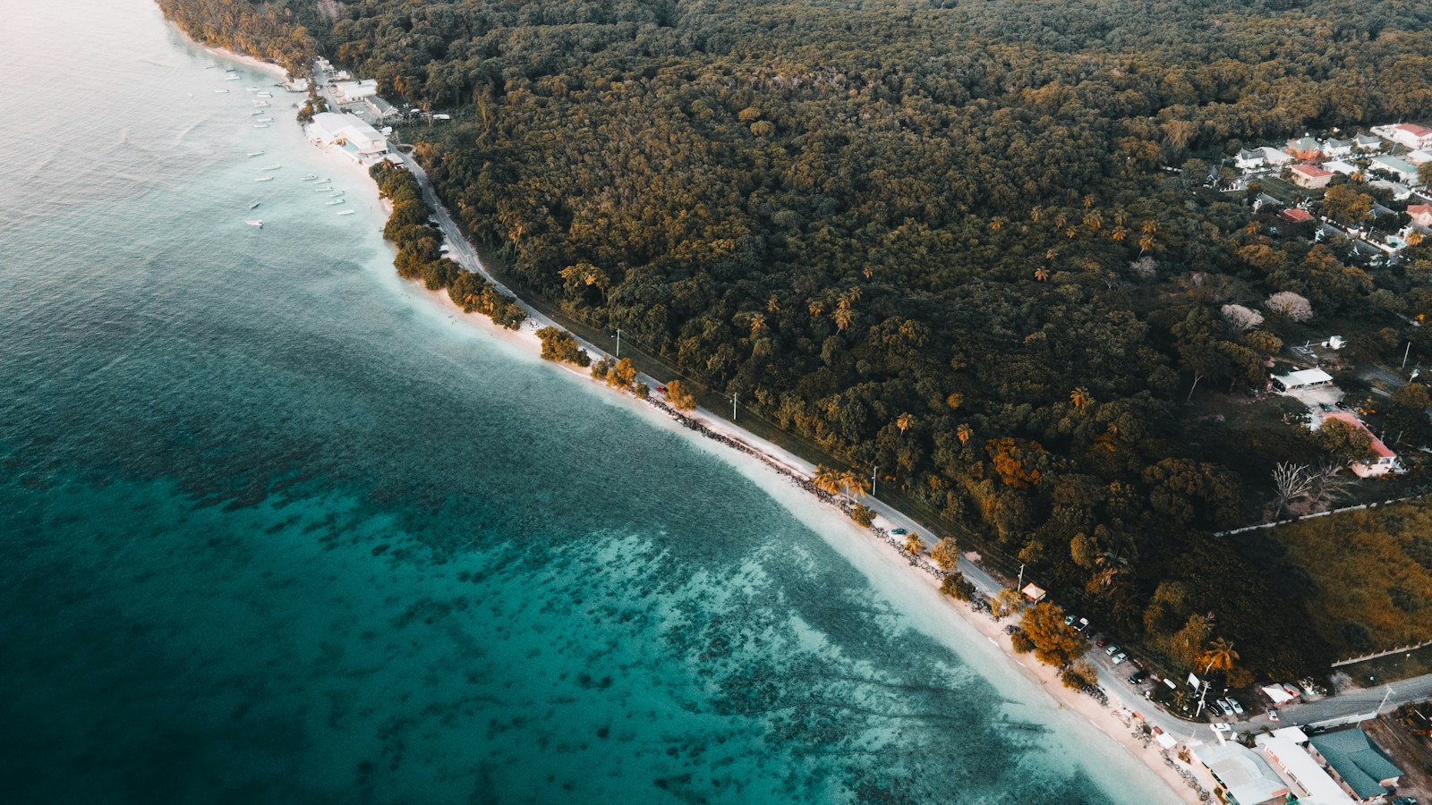 Aerial of forested coast meeting turquoise water at Store Bay, Tobago