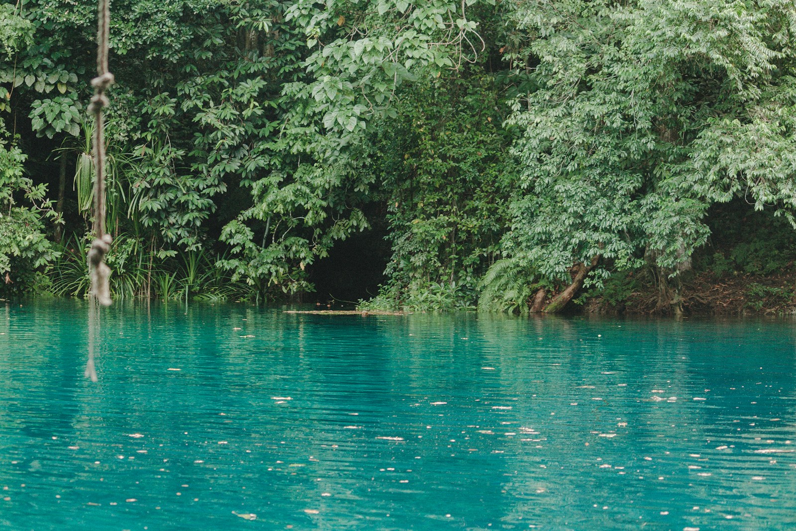 A vivid turquoise jungle blue hole with a rope swing, Espiritu Santo, Vanuatu